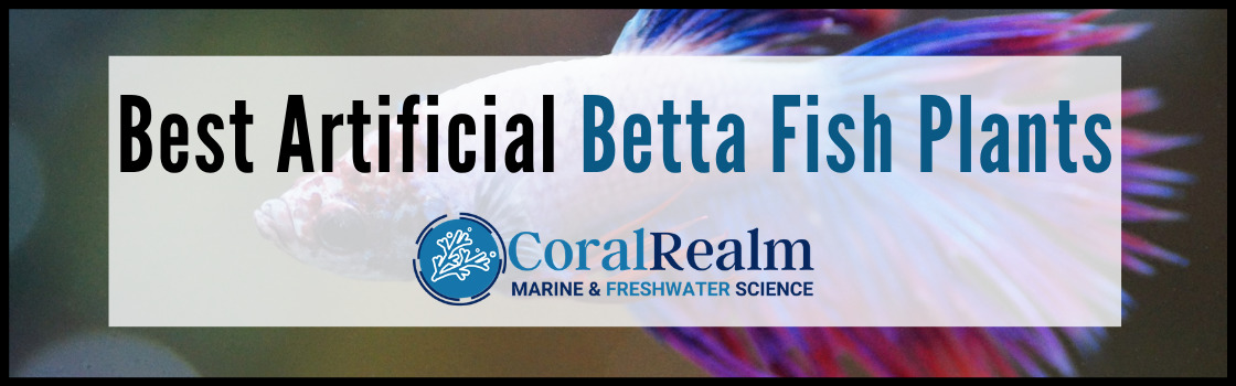 Best Artificial Betta Fish Plants