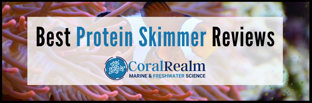 Best Protein Skimmer Reviews