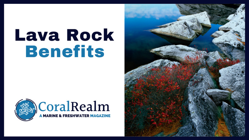 benefits of lava rock in tank