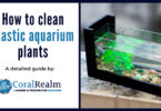 How to clean plastic aquarium plants