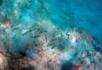 Mesoamerican Barrier Reef System