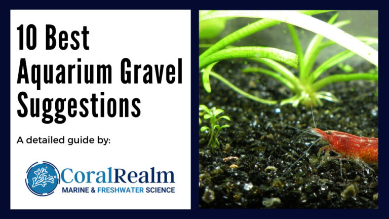 Picture of 10 Best Aquarium Gravel Suggestions For Planted Tanks - CoralRealm